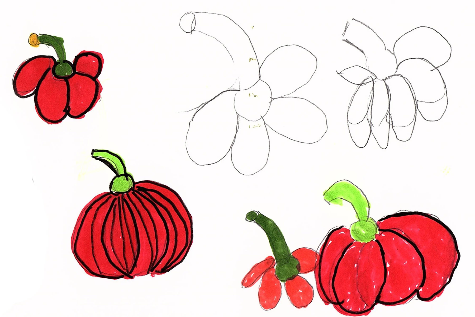 Einfache Kochrezepte, Design für Alle, Zeichnung von Elisabeth Herrmann
